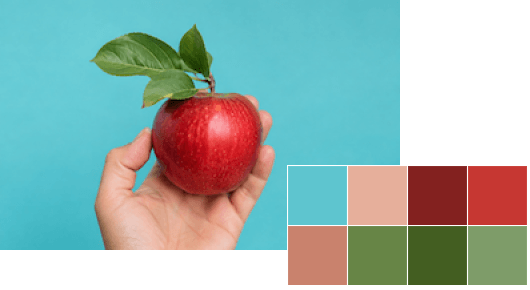 Visual example of dominant color extraction.