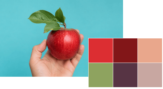 Visual example of color theme extraction.
